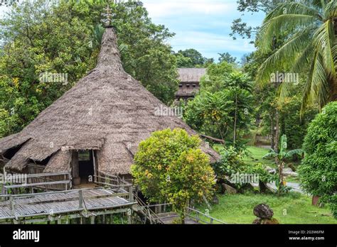 发财蒜风水|Sarawak Community 